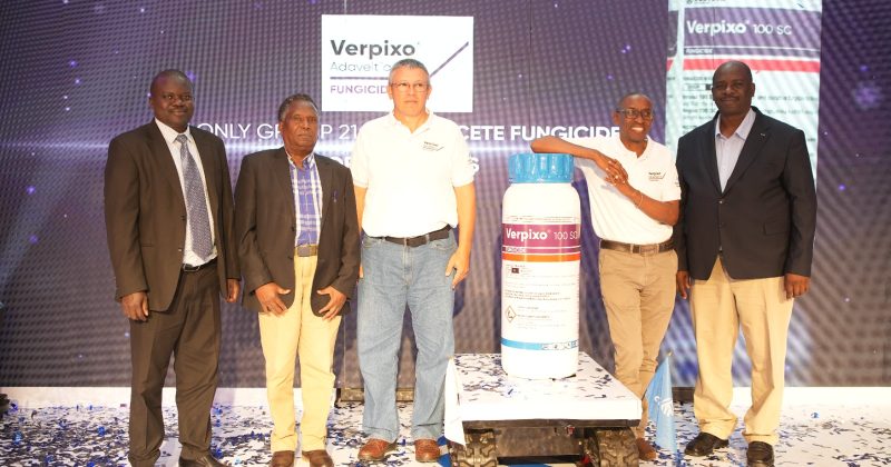 Corteva launches new fungicide to boost Kenya’s floriculture exports
