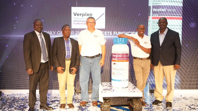 Corteva launches new fungicide to boost Kenya’s floriculture exports