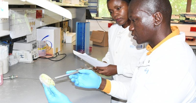 KEMRI-led trial seeks safer treatment for neonatal sepsis amid rising drug resistance