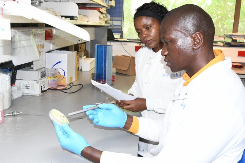 KEMRI-led trial seeks safer treatment for neonatal sepsis amid rising drug resistance
