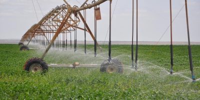 Africa urged to boost domestic funding for food security as climate risks mount