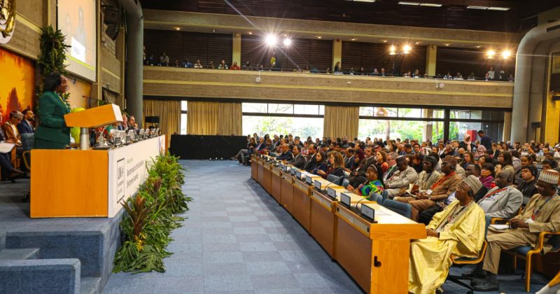 CS Barasa at UNEA-7: Time for small, cautious steps has passed