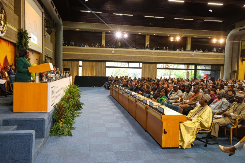 CS Barasa at UNEA-7: Time for small, cautious steps has passed