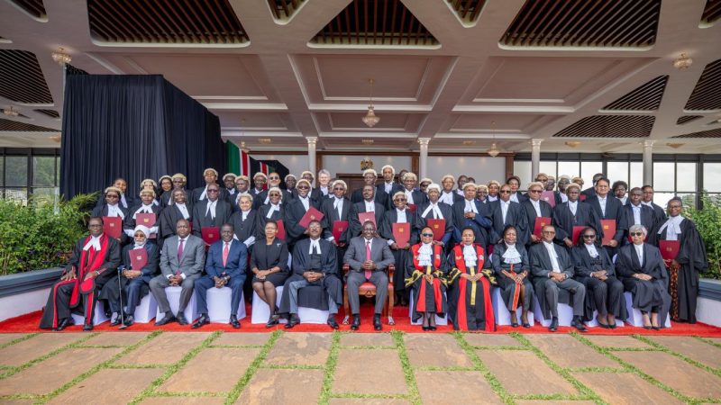 Petitioner moves to court to nullify conferment of Senior Counsel titles