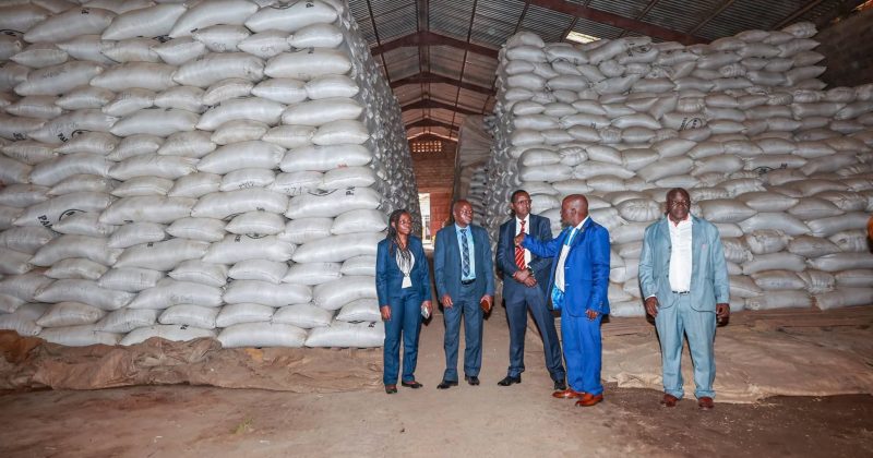 CS Kagwe warns of food crisis ahead of ruling on duty-free rice imports