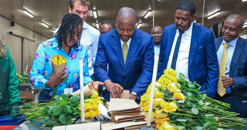 Flamingo reinvests VAT refunds to expand exports, add 2,000 jobs