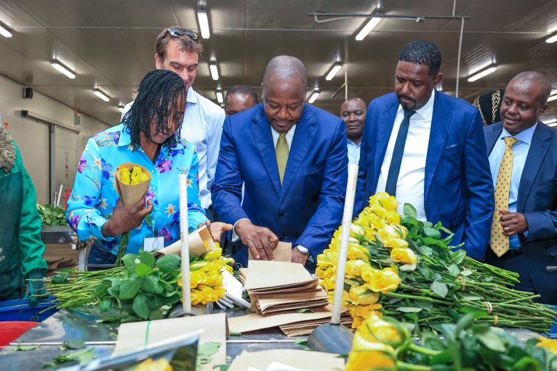 Flamingo reinvests VAT refunds to expand exports, add 2,000 jobs