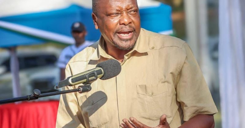 Govt to set up animal feed reserves to cushion farmers from drought losses