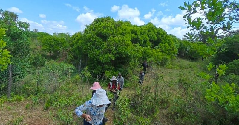KEPSA calls for merit-based appointments to National Land Commission