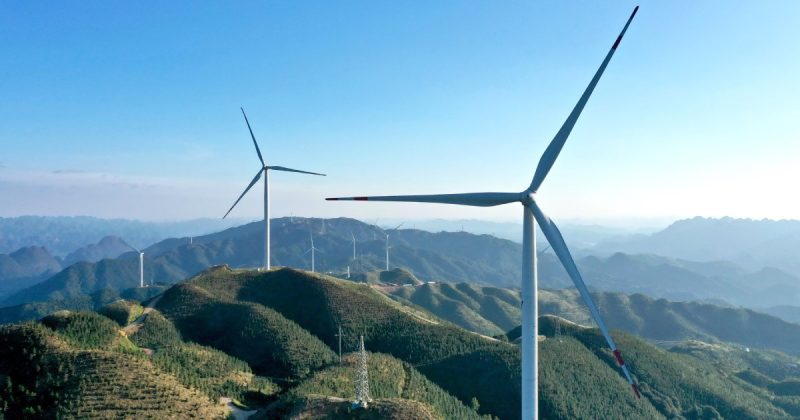 New registry to boost Kenya’s entry into global carbon markets