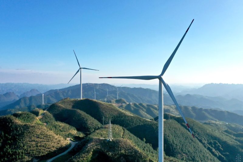 New registry to boost Kenya’s entry into global carbon markets