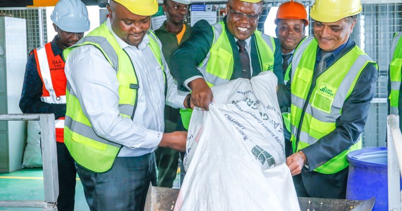 Feed maker Unga turns to biomass to cut energy costs