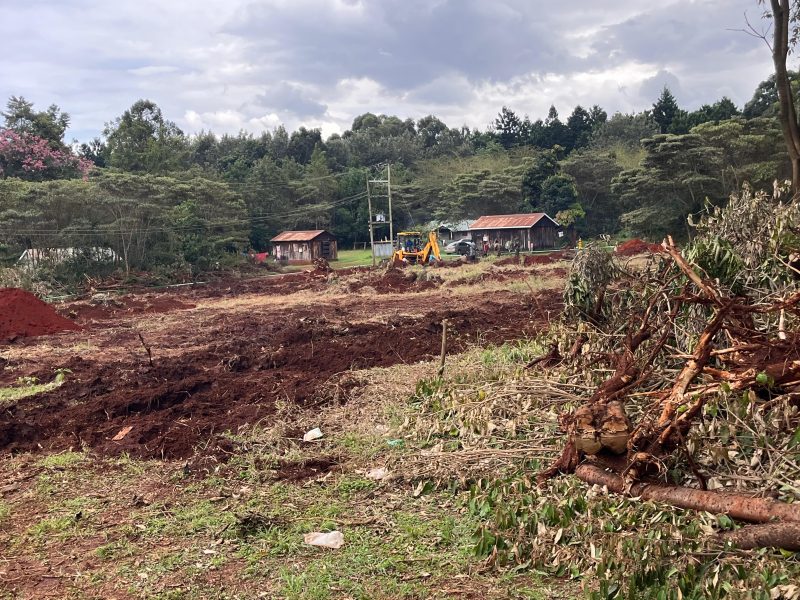 NGO questions alleged tree clearance for NYS Barracks in Karura