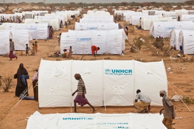 Refugees are ready to work: Kenya’s private sector can drive inclusive growth