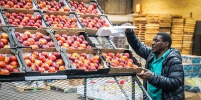 S. Africa to boost support for small businesses through reforms, financing