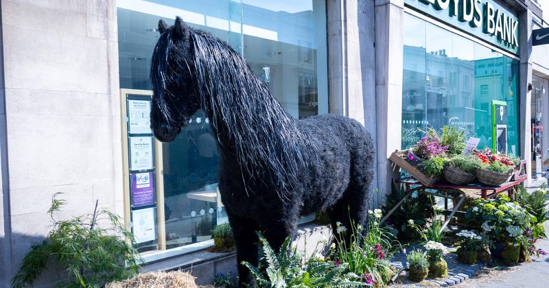 Lloyds, Bank of Scotland and Halifax apps showed customers other users’ transactions