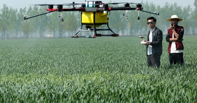 India’s fertiliser supplies under strain as war disrupts shipments