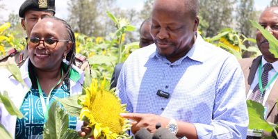 Govt eyes local edible oil supply through sunflower, soybean farming