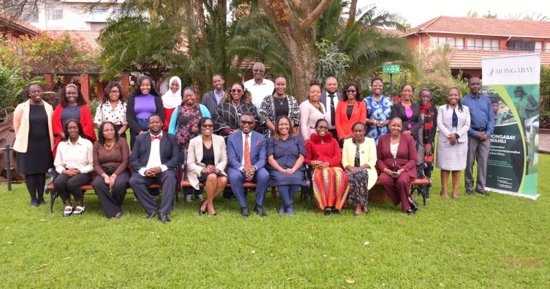 Mongabay launches Swahili platform to expand climate reporting