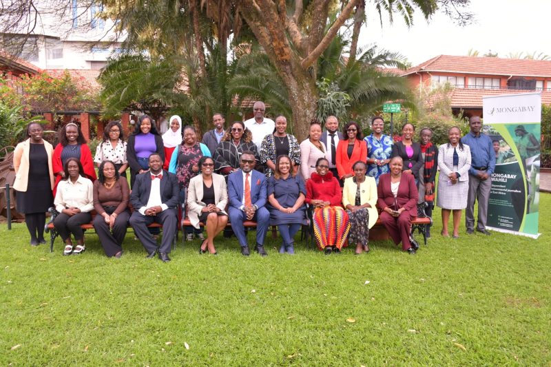 Mongabay launches Swahili platform to expand climate reporting