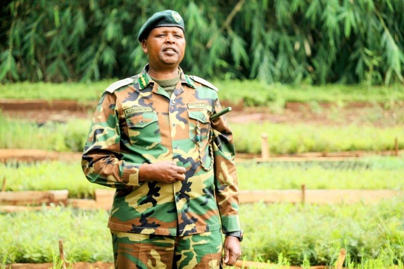 Kenya’s 15bn tree plan and the rise of mega seedling nurseries