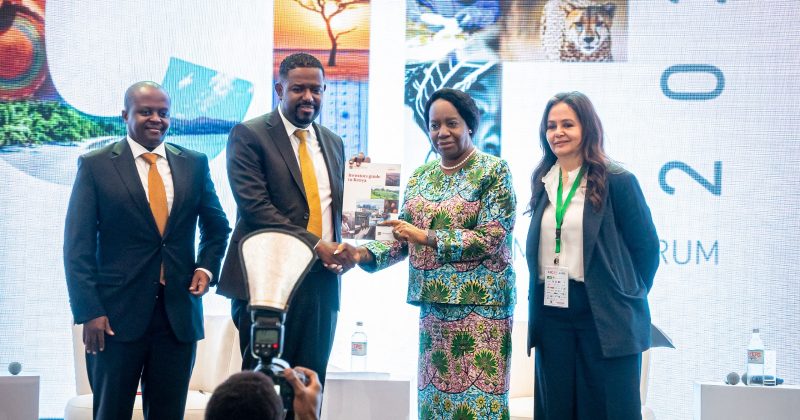 COMESA attracts 67pc of Africa FDI as inflows hit $65bn