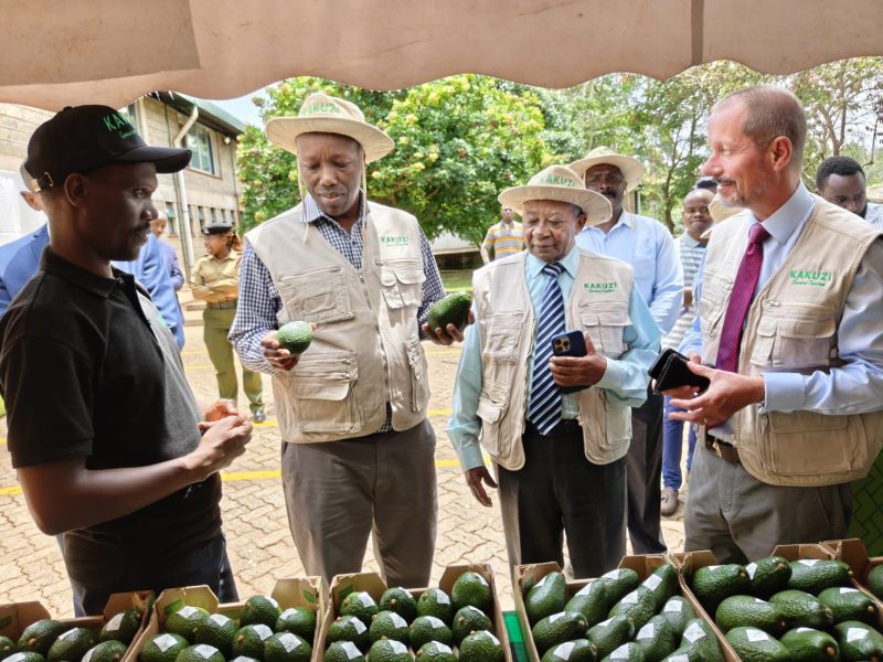 Govt backs Kakuzi value addition push to boost exports