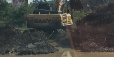 KWS dismisses claims of forest destruction at Nairobi National Park