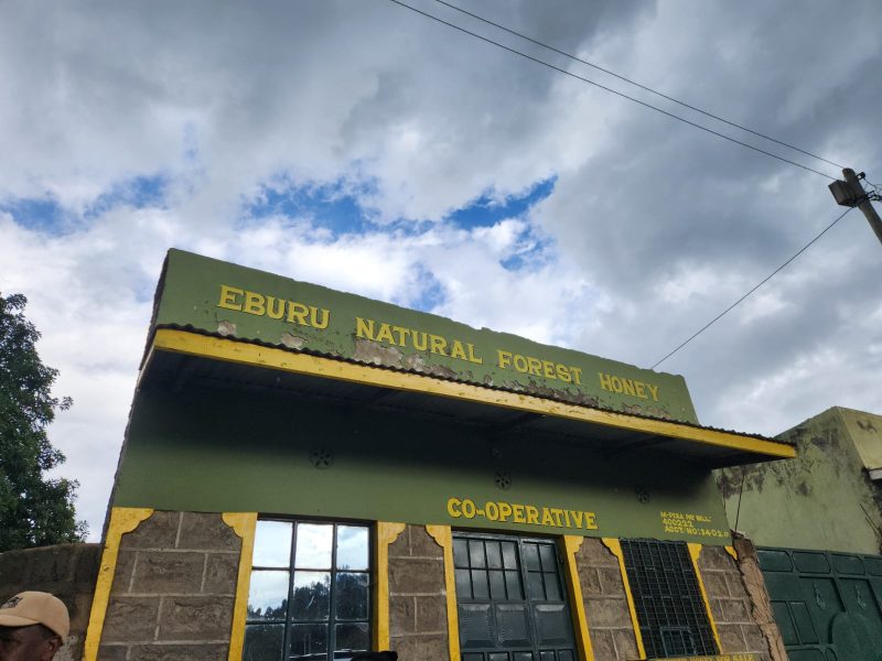 How conservation has boosted beekeeping in Eburru Forest, Naivasha