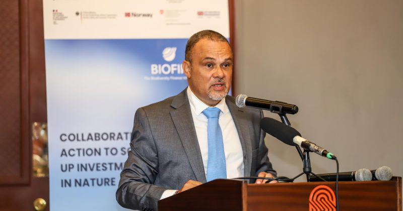 Kenya targets up to Sh150bn in biodiversity financing under new BIOFIN programme