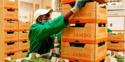 Kenya to see export surge under China’s zero-tariff trade deal