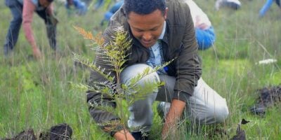 Court dismisses case against Earthbanc in Kenya project dispute