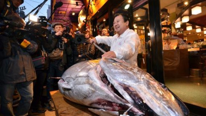 tuna
