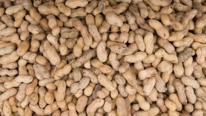Peanuts