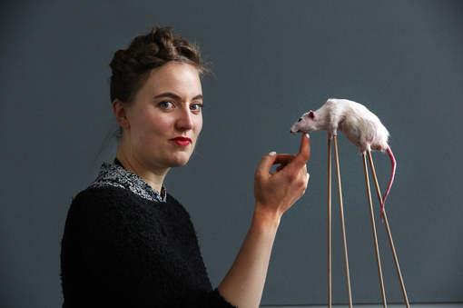 dutch artist 4