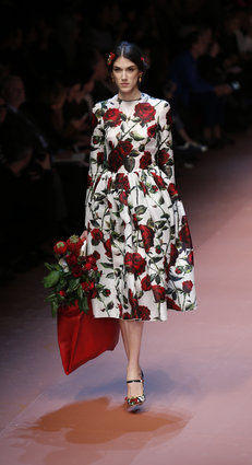D&G 7