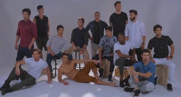 Male beauty defined