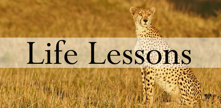 life lessons