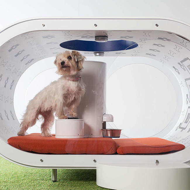 luxury kennel 2