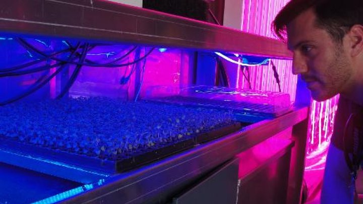 startup farm