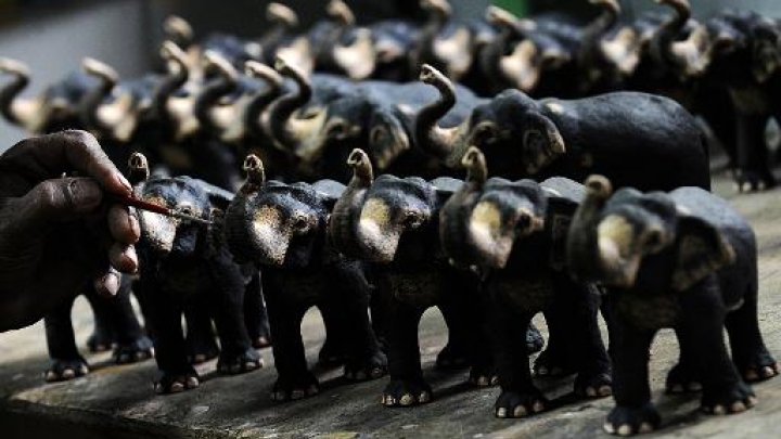 elephant ivory