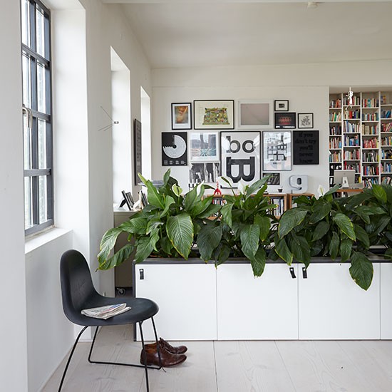 Plants