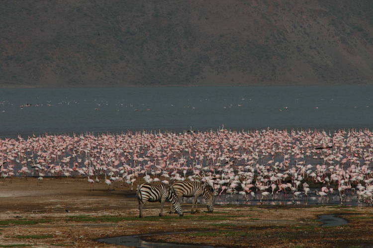 kenya unesco lakes