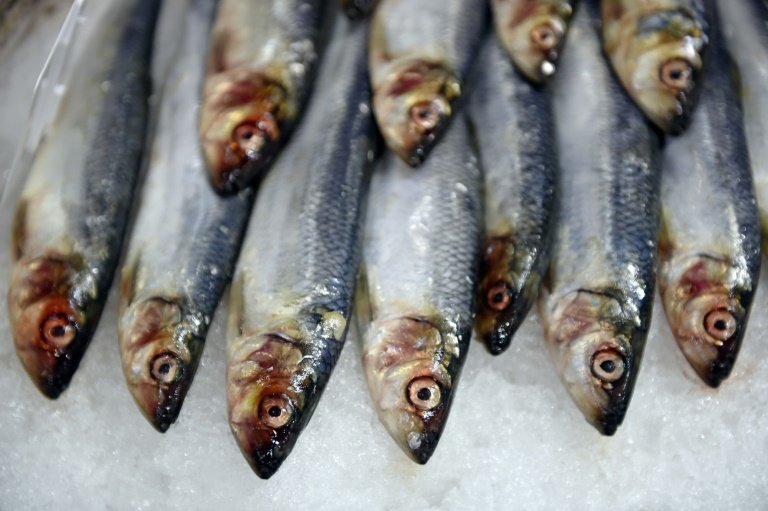 afp-omega-3-may-block-psychosis-years-later-study