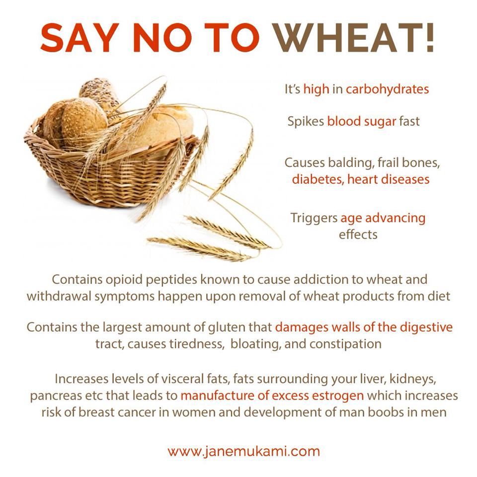 Why wheat is bad for you