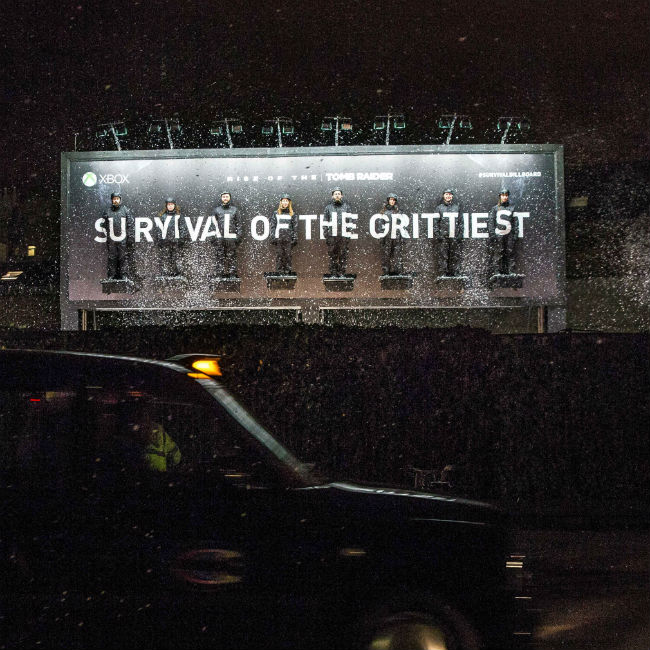 the survival board