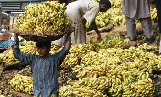 Bananas