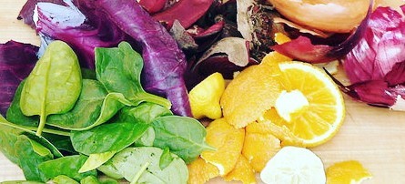 root to talk food leftovers