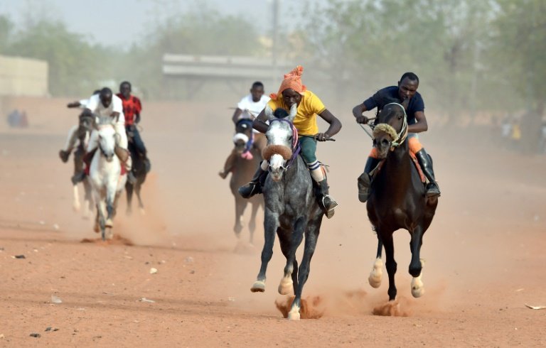 afp-nigers-legacy-of-legendary-horses-lives-on