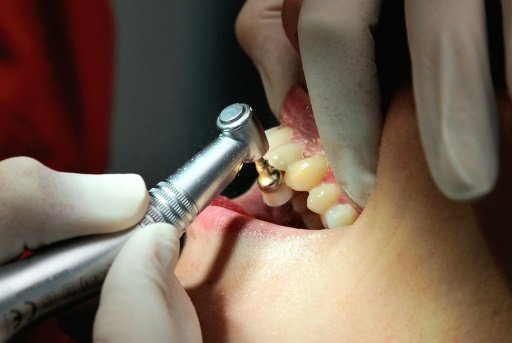 DENTIST